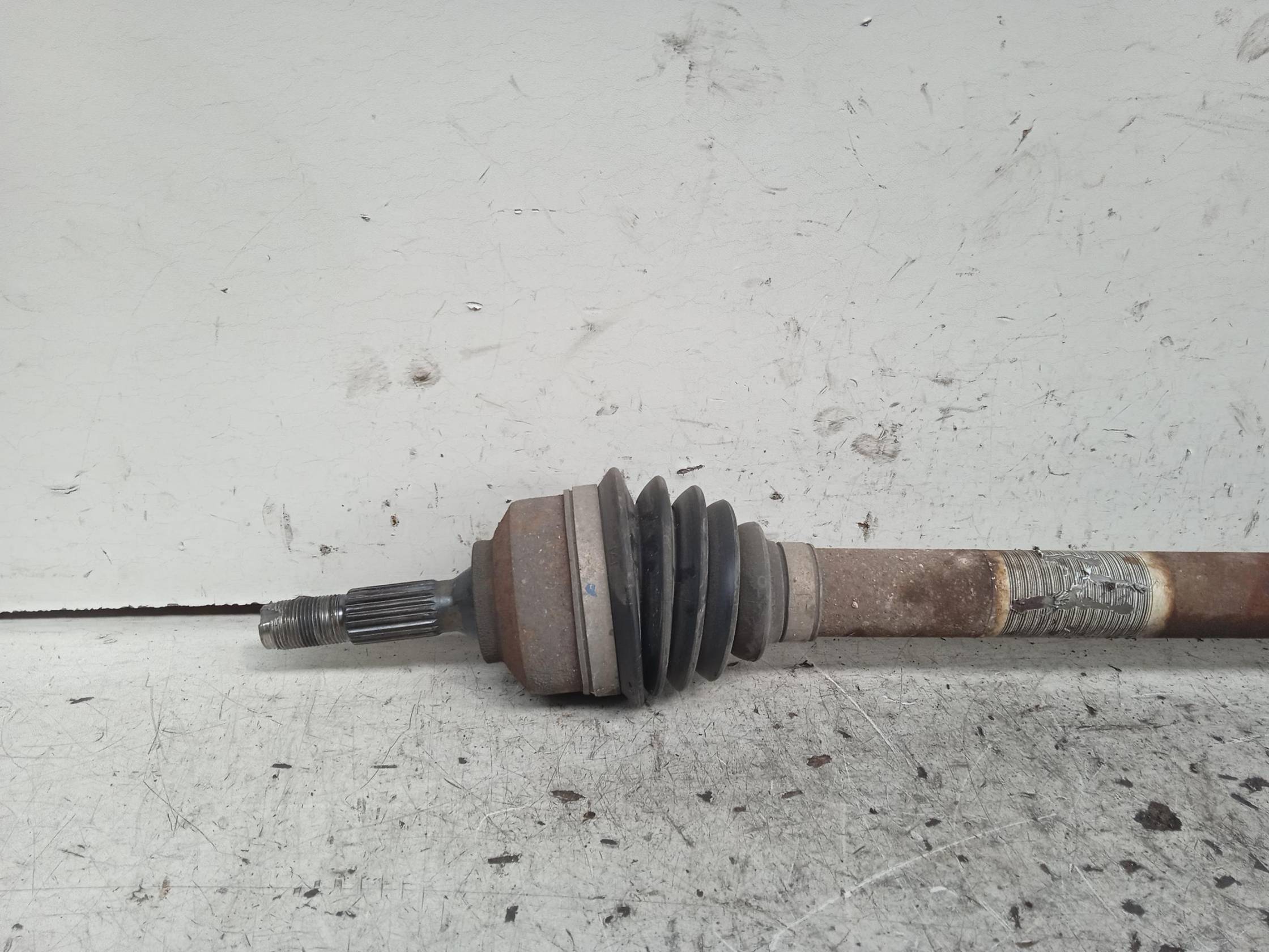 Semialbero ant. compl. dx.